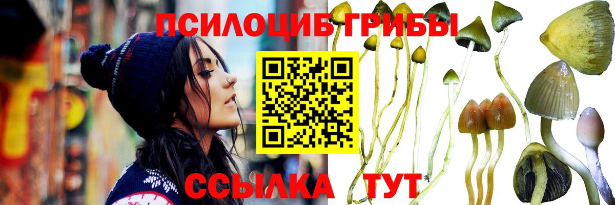 Псилоцибиновые грибы Cubensis  Вход с VPN  Усть-Илимск 